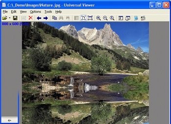 Universal Viewer (install portable version)