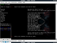 BackTrack Release VMware Image 4 R1 (i386)